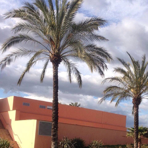 일본섹스+야동+19
